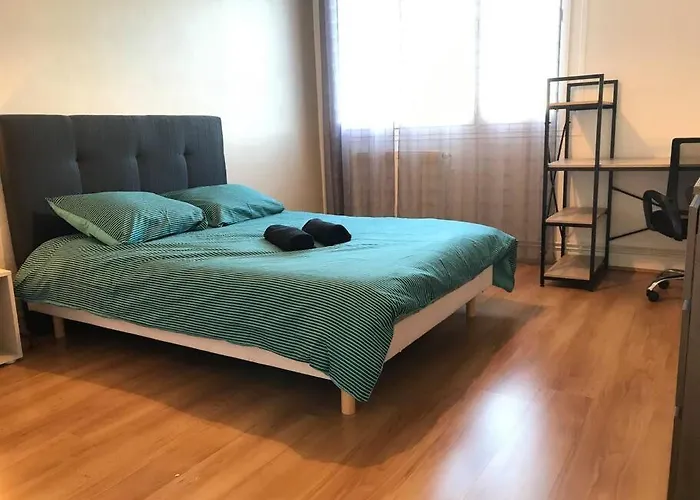 Apartmán Le Voltaire -2 Chambres- 70m2- Hypercentre-parking-wifi Fibre- Nouvelle Literie *