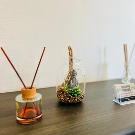 Apartmán Le Voltaire -2 Chambres- 70m2- Hypercentre-parking-wifi Fibre- Nouvelle Literie