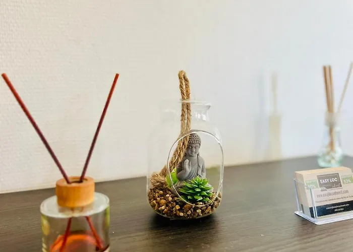 Appartement Le Voltaire -2 Chambres- 70m2- Hypercentre-parking-wifi Fibre- Nouvelle Literie