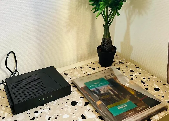 Appartement Le Voltaire -2 Chambres- 70m2- Hypercentre-parking-wifi Fibre- Nouvelle Literie *